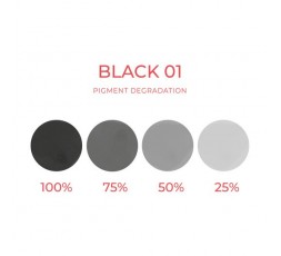 BLACK 01 - Artyst - 10ml - Conforme REACH
