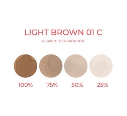 LIGHT BROWN 01 C (Freddo) - Artyst - 10ml - Pigmento PMU REACH LIGHT BROWN 01 C (Freddo) - Artyst - 10ml - Pigmento PMU REACH