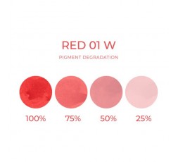 RED 01 W - Artyst - 10ml - Pigmento PMU REACH