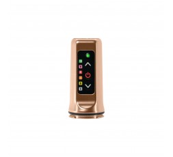 Flux Mini Wireless PMU Machine + PowerBolt Aggiuntivo - Champagne - Dermografo Spektra