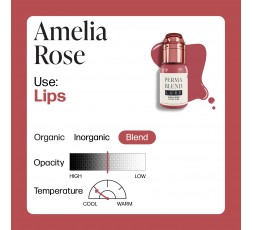 AMELIA ROSE - Perma Blend Luxe - 15ml - Pigmento PMU REACH