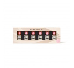 READY, SET, GO Pre-Modified Set  - Perma Blend Luxe - 6x15ml - Pigmenti PMU REACH