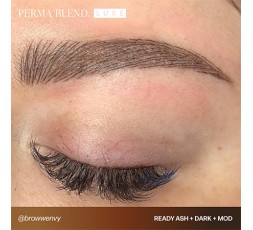 READY, SET, GO Pre-Modified Set  - Perma Blend Luxe - 6x15ml - Pigmenti PMU REACH