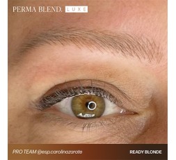 READY, SET, GO Pre-Modified Set  - Perma Blend Luxe - 6x15ml - Pigmenti PMU REACH