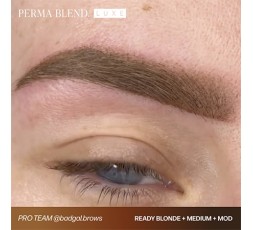 READY, SET, GO Pre-Modified Set  - Perma Blend Luxe - 6x15ml - Pigmenti PMU REACH