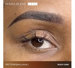 READY, SET, GO Pre-Modified Set  - Perma Blend Luxe - 6x15ml - Pigmenti PMU REACH