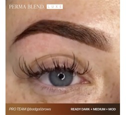 READY, SET, GO Pre-Modified Set  - Perma Blend Luxe - 6x15ml - Pigmenti PMU REACH