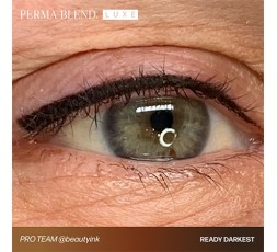 READY, SET, GO Pre-Modified Set  - Perma Blend Luxe - 6x15ml - Pigmenti PMU REACH