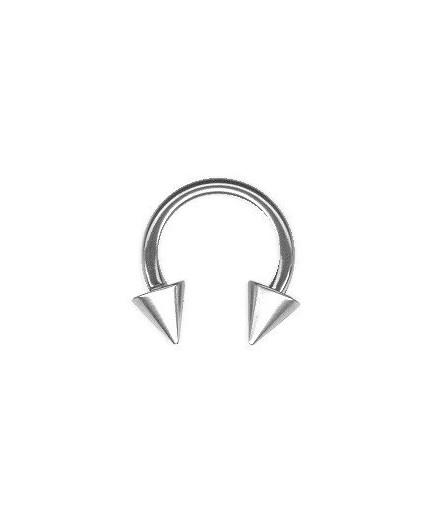 SS 316 CIRCULAR BARBELLS W/CONES
