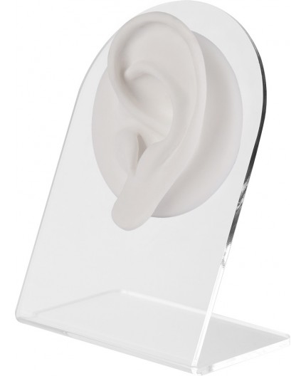 WHITE ANATOMIC DISPLAY EAR-L