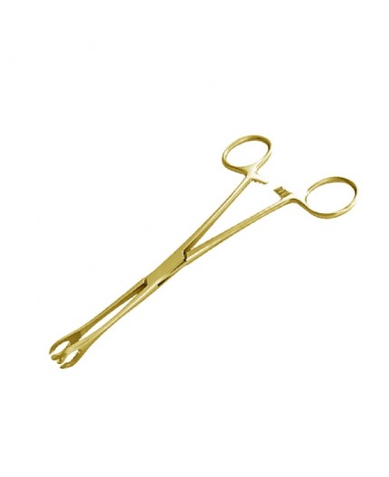 GOLD TOOLS - PINZA OVALE APERTA