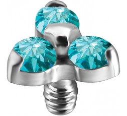 TT int TRINITY ATTACHMENT