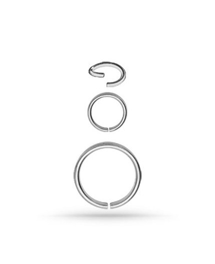 SS 316 CONTINUOUS RING