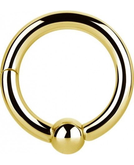 GD 316 HINGED BALL CLOSURE RING GD 316 HINGED BALL CLOSURE RING
