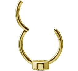 GD 316 HINGED RING SET W. ZIRCONIA 1,2x12mm WH