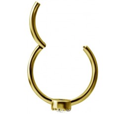 GD 316 HINGED RING SET W. ZIRCONIA 1,2x12mm WH