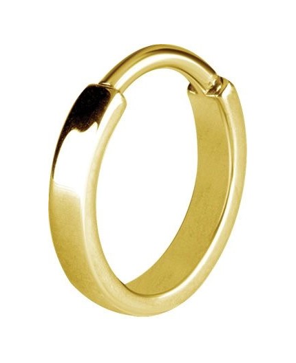 GD 316 PLAIN HINGED HOOPS