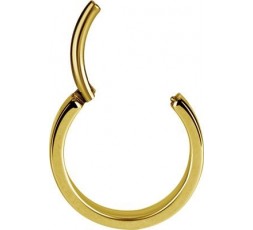 GD 316 PLAIN HINGED HOOPS