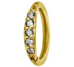 GD 316 HINGED RING SET with Jewels