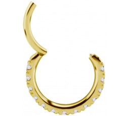 GD 316 HINGED RING SET with Jewels