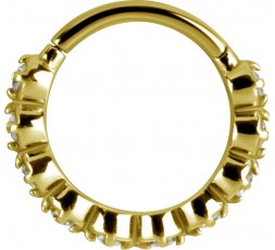 GD 316 HINGED RING W/ZIRCONIA mod.10