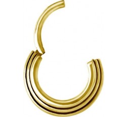 GD 316 HINGED RING 3 RINGS