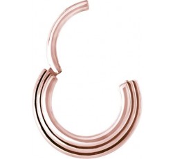 RG 316 HINGED RING 3 RINGS