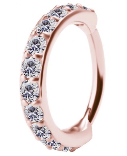 RG 316 CLICKER SET with Jewels