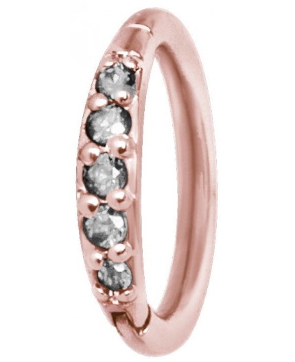 RG 316 HINGED RING SET with Jewels