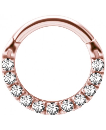 RG 316 HINGED CLICKER SET with Front Jewels