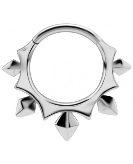 SS 316 HINGED CLICKER (PYRAMIDS & SPIKES)