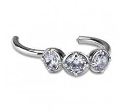 SS 316 HINGED RING W/ZIRCONIA mod.17