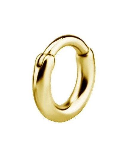 GD 316 HOOP EARRINGS (PAIR) mod. 06 GD 316 HOOP EARRINGS (PAIR) mod. 06