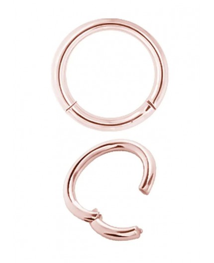 RG 316 CLICK SEGMENT RING